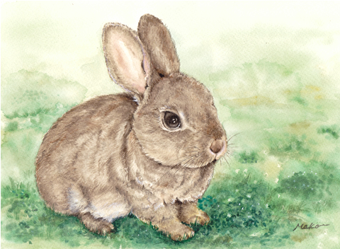 bunny6.jpg
